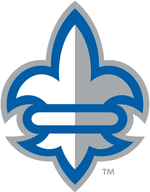 New Orleans Privateers 2013-Pres Alternate Logo v5 diy fabric transfer